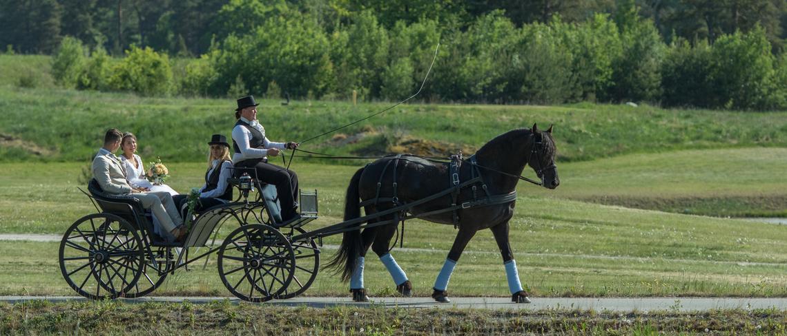 Bröllopspar med häst och vagn på Vikbolandet utanför Norrköping